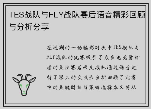 TES战队与FLY战队赛后语音精彩回顾与分析分享