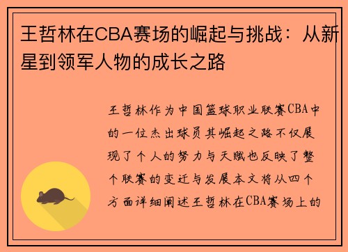 王哲林在CBA赛场的崛起与挑战：从新星到领军人物的成长之路