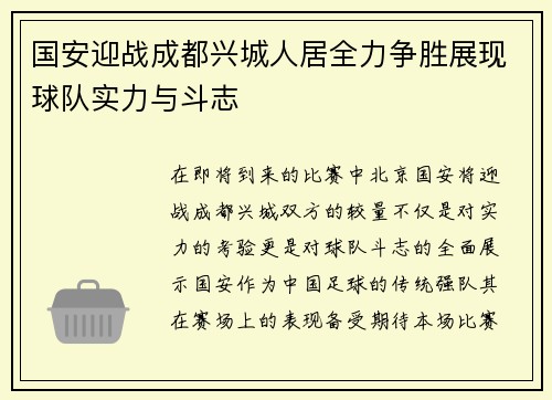 国安迎战成都兴城人居全力争胜展现球队实力与斗志