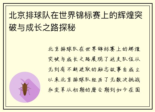北京排球队在世界锦标赛上的辉煌突破与成长之路探秘